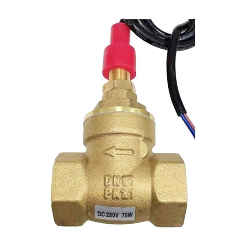 Interruptor de flujo latón SEN-DB65 para caldera hidroeléctrica de gran durabilidad
