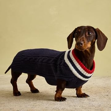 Rosewood Joules Dawson - Maglione invernale per cani di piccola taglia, lavabile, caldo e confortevole, colore: blu navy