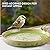 Navaris Outdoor Ceramic Bird Bath Bowl - Frost Resistant with Spacious 25cm (9.8") Diameter - Attractive Bird Bath for Garden with Elegant Bird Print Design