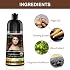Herbishh Color Shampoo for Gray Hair Coverage (Light Brown) Hair Dye 3-in-1 Shampoo- Colors in Minutes Lasts Up To 2-3 Weeks 500 mL Ideal for Men & Women