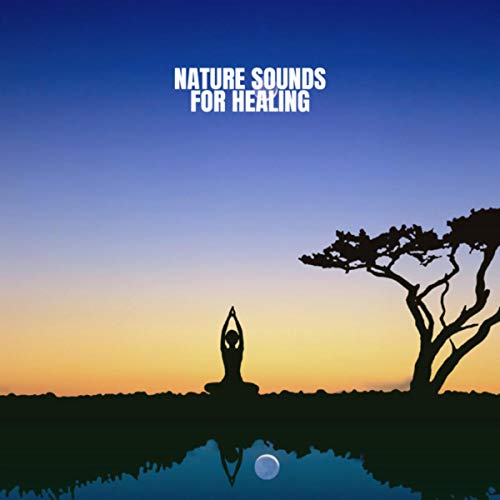 Amazon Music Nature Sound Sleep, White Noise Therapy and Sleep Sounds