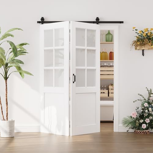 Image of 60 inchx80 inch Bifold Barn Door Slab and 64 inch Track Kit, Upper 6-Lite Glass Design