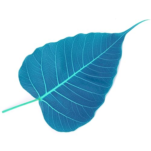 AudioDharma: Gil Fronsdal's most recent dharma talks Titelbild