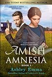 Amish Amnesia: Covert Police Detectives Unit Series, book 3