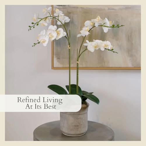 Image of CG Hunter Faux White Orchid Plant, Premium Artificial Indoor Flower Display Stands 24 inch, Beautiful Sculptural Blooms That Lasts Forever, Grey Planter Pot Included