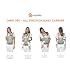Ergobaby Omni Dream & Omni 360 All-Position Baby Carriers Bundle (Pearl Gray)