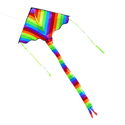 Rainbow Stripe Stunt Power Kite Single Line with Long Tail, Ecstasi Family Friends