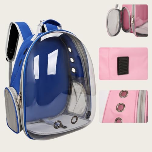 ybg L[ obO bN  p ^ L   o ʋC bV K Xy[X y ^ S ߓ Kړ XgXy ی@\ (sN) (u[)