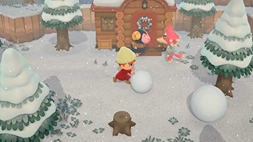 10. Bild von Nintendo