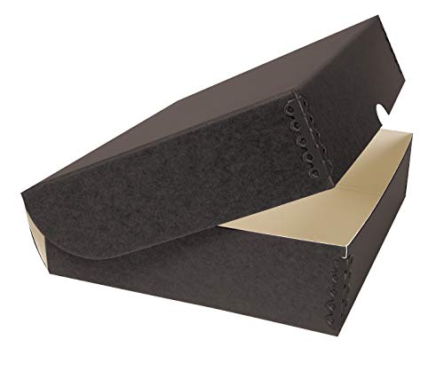 Gaylord Archival Polyester Photo Envelopes - 4x6 Document Protection Sleeves (10 Pack)