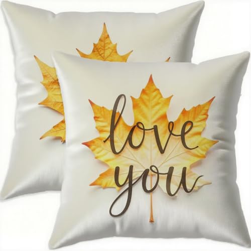 Housse de coussin 60x60cm imperméable en velours d'automne pour canapé