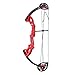 ZSHJGJR Archery Compound Bow and Arrow Kit Hunting Bow 15-29lbs Complete Bow Accesories Package Set Junior Entry Level 260fps Right Handed for Outdoor Shooting (Red)