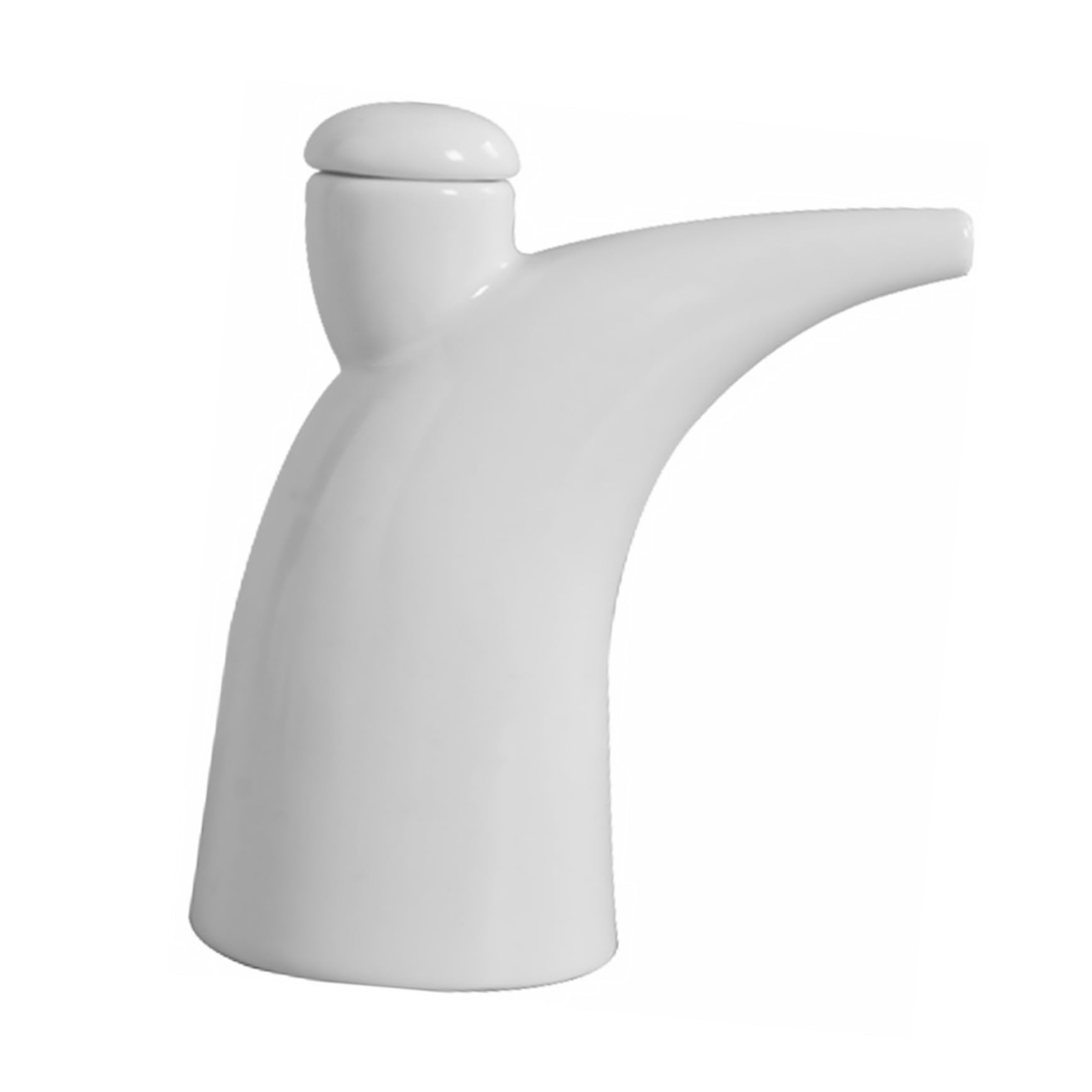 Vinagrera de cerámica de hueso DIYEAH para dar un toque elegante a tu cocina