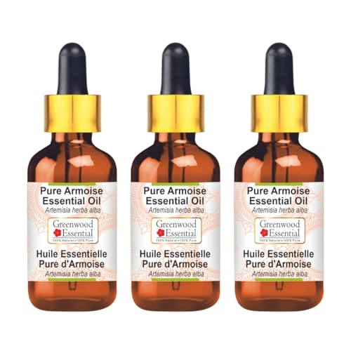 Huile essentielle pur armoise pour rituel bien-être à la maison lot de 3 flacons 100ml