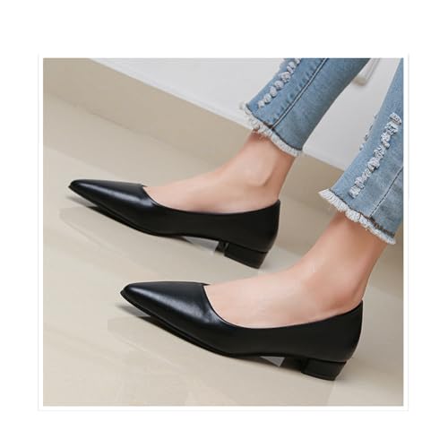 Low Block Heel Pumps for Women Comfort Pointed Toe Slip-On Dress Flats Shoes Casual Office Dress Shoe4