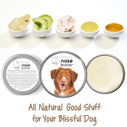 Image of The Blissful Dog Nova Scotia Duck Tolling Retriever Unscented Nose Butter - Dog Nose Butter, 1 Ounce
