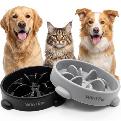 WinTour 2 Pack Slow Feeder Dog Bowls, BPA Free, Medium & Small Dog Bowls