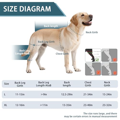 Image of Dog Knee Brace for Torn ACL Hind Leg & Luxating Patella, Multi-Functional Adjustable Rear Leg Braces for Dogs, Pain Relief, Post-Surgery Recovery, L