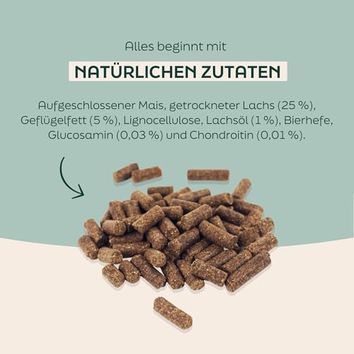 WOOOF Lachs 14kg kaltgepresstes Hundefutter mit Fisch | Trockenfutter, natürlichen Zutaten, Lachsöl & Ohne Weizengluten