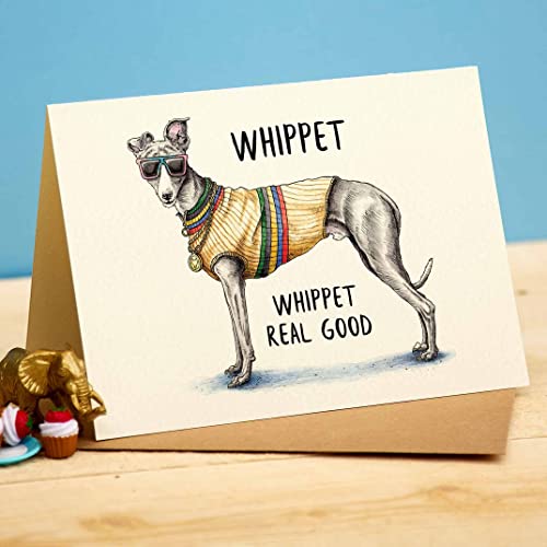 Funny Dog Whippet Real Good Birthday Card – Designed and Printed in the UK