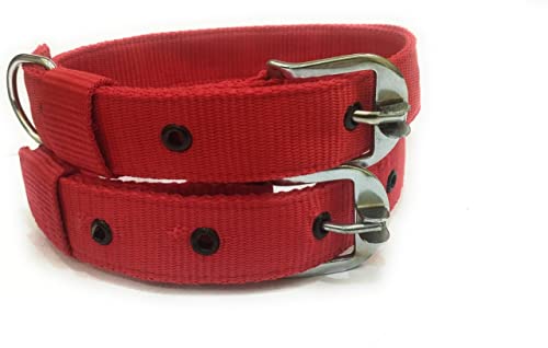 Image of JAPIN Neck Collar Belts for Dog Comfortable Everyday 1.25 inch Collar Belt for Dog (Red)
