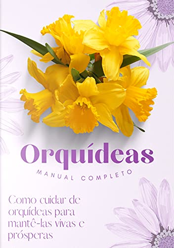 Como Cuidar de Orquídeas e Mantê-las Vivas e Prosperas