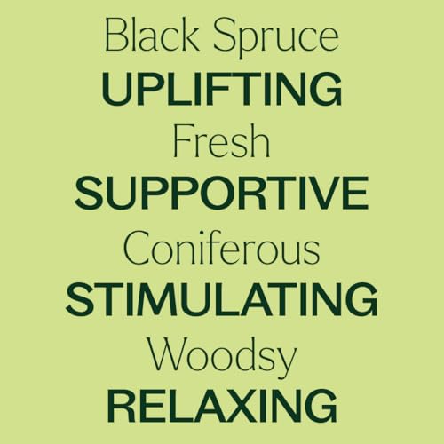 Aceite esencial Black Spruce orgánico 10 mL Plant Therapy miniatura 4