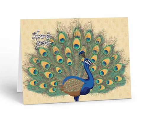 Stonehouse Collection Peacock Thank You Note Card, Beautiful Peacock Displaying Feathers, Blank Inside, Single Greeting Card with Envelope, Elegant Appreciation Card (Peacock)