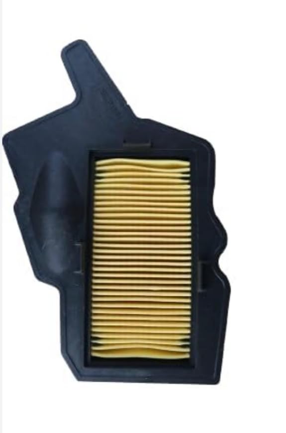 Air filter Suitable for Tvs Raider 125/paper filter/Raider-image-11