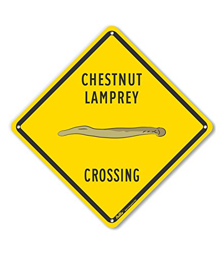 Panneau traversée de lamproie jaune en plastique rigide 25,4 cm PKAC-1081-NP