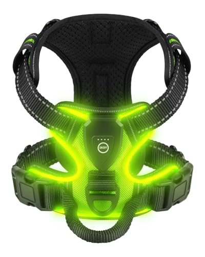Villabliss Light Up Dog Harness - LED Dog Harness Rechargeable for Night Walking, Three Lighting Modes, Flashing for More Than 20 Hours, Oxford Cloth(Green/Medium)