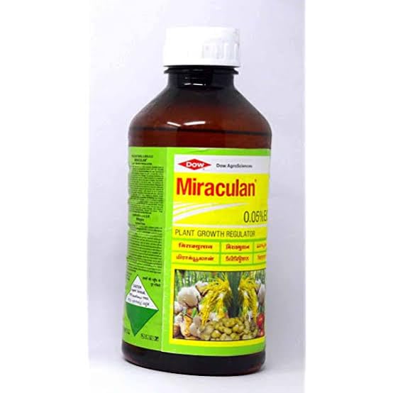 Dow Miraculan Liquid Plant Growth Regulator(Pgr) 100 Ml, Nature Argo (B0C9V3TFFN) Amazon Price History, Amazon Price Tracker