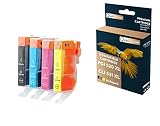 QUALITONER   4 Cartouche Compatible pour Canon PGI520 XL   CLI521 XL PGI 520XL   CLI 521XL Noir + Cyan + Magenta + Jaune pour Canon Pixma IP 3600 IP 3
