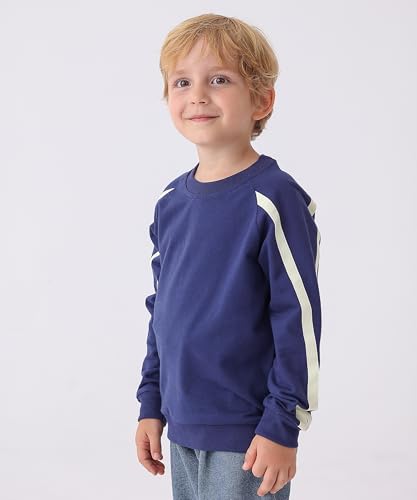 Image of GFQLONG 3 Pack Toddler Boy Girl Cotton Crewneck Sweatshirt Kids Lightweight Long Sleeves with Stripe Fall Fashion Tops