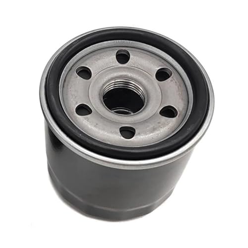 Filtre à huile Linhai 500 évite la panne moteur du quad LH500 M550
