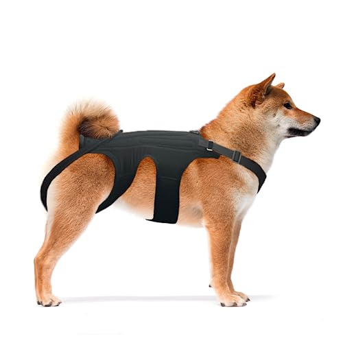 Back Brace for Dogs The 15 best products compared Wild Explained