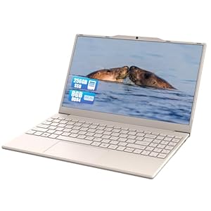 Molegar 2026 Neueste Tragbarer Laptop für Studenten und Unternehmen, 14 Zoll Notebook Computer FHD IPS Display, 8GB RAM 256GB SSD, Celeron N5095(Bis zu 2.9GHz), Ziffernblock, QWERTY...
