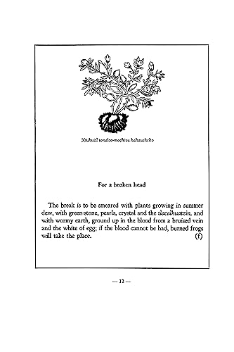 An Aztec Herbal: The Classic Codex of 1552 - Image 9
