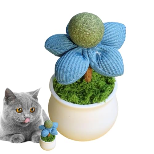 Interactive Cat Toy, Catnip Balls, Flower Pot Design, Teeth Cleaning, Chewing, Indoor Fun, Pet Supplies for Kittens, Play and En