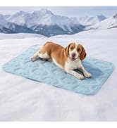 Amazon | 【極冷感 Q-MAX 0.5超】Lesure ペット ひんやりマット 犬 猫