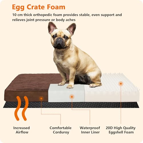 HMTOPE Orthopädisches Hundebett, 10cm Dicke Hundekissen für Mittelgroße Hunde, Grosse Hunde, Abnehmbar und Waschbar Hundematte, rutschfeste Unterseite, Wasserdichtes Innenfutter, 112 cm, Braun