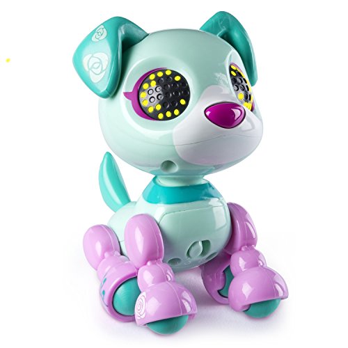 Zoomer 6033742 ' Zupps“ Spielset, farblich sortiert