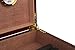 Premium Cigar Humidor for 25-50 Cigars - Elegant Humidor humidor with Hygrometer and Humidifier - Cedar Lined Cigar Box for Optimal Humidity Control