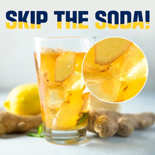 TEAZEN Lemon Ginger Hot Kombucha Tea, Spice Tea, Live Probiotics & Postbiotics, Relaxation and Warmth for Colds and Sore Throat, Hydration Drink Mix, Sugar Free, On-the-Go 10 Packets, 1.76oz