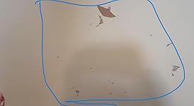 Review Image by ObjectiveReviewer ObjectiveReviewer