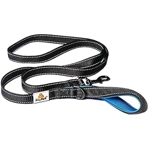 Hey Pets® Hondenlijn, zwarte trainingslijn, reflecterende nylon lijn met gevoerde handgreep 1,75 m lang