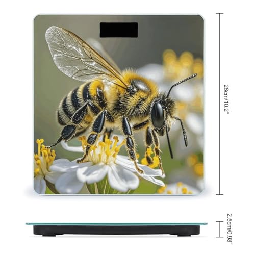 Balanza Digital de Baño Honey Bee Precisión Alta miniatura 2