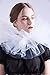 Blessume Retro Mesh Neck Ruff Ruffle Collar, White, One size