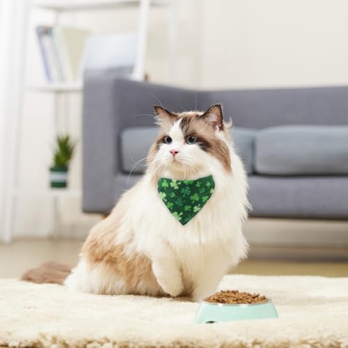 Disfraz para perro Día de San Patricio con pajarita y bandana miniatura 6