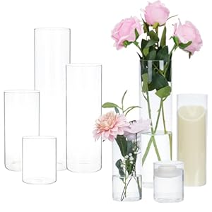 CEWOR 8pcs Glass Cylinder Vase 4, 7, 9, 12 Inch Tall Clear Vases for Wedding Glass Candle Holder for Centerpieces Flower Vase for Home Decor Party 4 Different Sizes